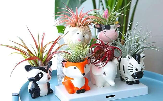 Melphoe 6Pcs Air Plant Holders Cartoon Shaped Small Succulent Pot Animal Planter Small Ceramic Pot Drainage for Mini Plant Cactus Flower, Tillandsia Air Fern, Display Stand Home, Office Desktop