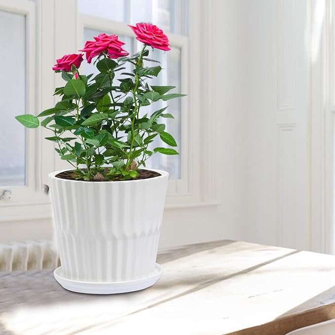 Plant Pots - 6.7 Inch Cylinder Ceramic Planters with Connected Saucer, Pots for Succuelnt and Little Snake Plants, Set of 2, White