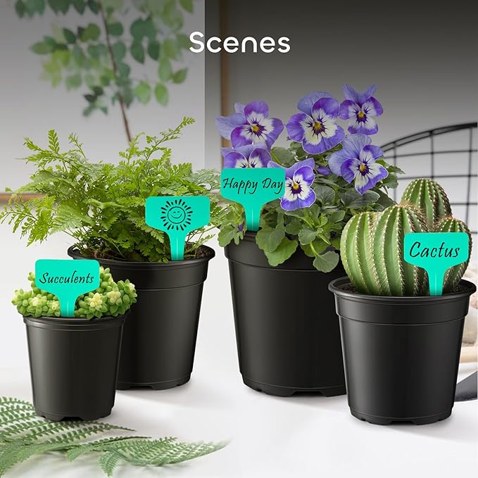 GROWNEER Nursery Pots with Drainage Holes Pack of 24 Pcs 3.5/4.5/5.5/6.5 Inch and Plant Label Flexible Seedling Pots Seed Starting Planter for Indoor Outdoor Flowers Succulents Cactus