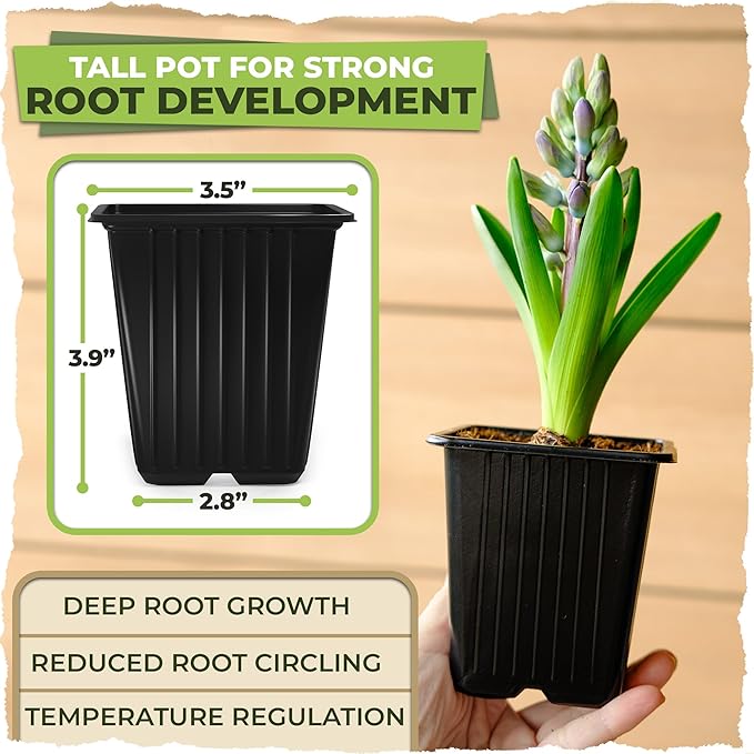 CARPATHEN 60Pack Square Nursery Pots - 3.8 Inch Reinforced Nursery Pots for Plants with Drainage - Reusable Seed Starter Pots for Flowers, Vegetables - Seedling Pots Kit with 10 Plastic Reusable Tags