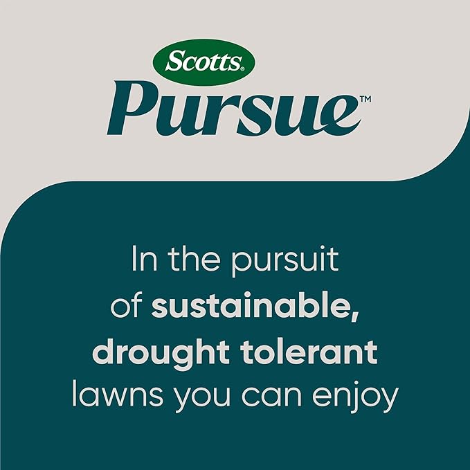 Scotts Pursue Blue Grama with Natural Seed, Seeding for Large Areas, 1 lb.