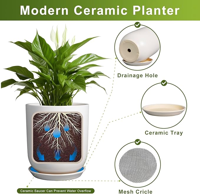 Plant Pot 8 Inch - Ceramic Planter for Indoor Plants Outdoor, Large Plant Pot with Drainage Hole and Saucer, Modern Flower Pot, White