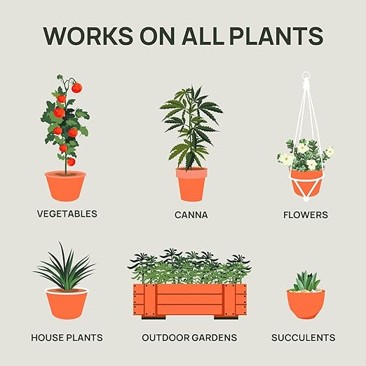Strive Fertilizer Starter Kit Combo - Veg + Bloom General Hydroponic Nutrients - Indoor, Outdoor and Soil Growing Plant Food - Booster for Vegetables, Succulents, Flowers