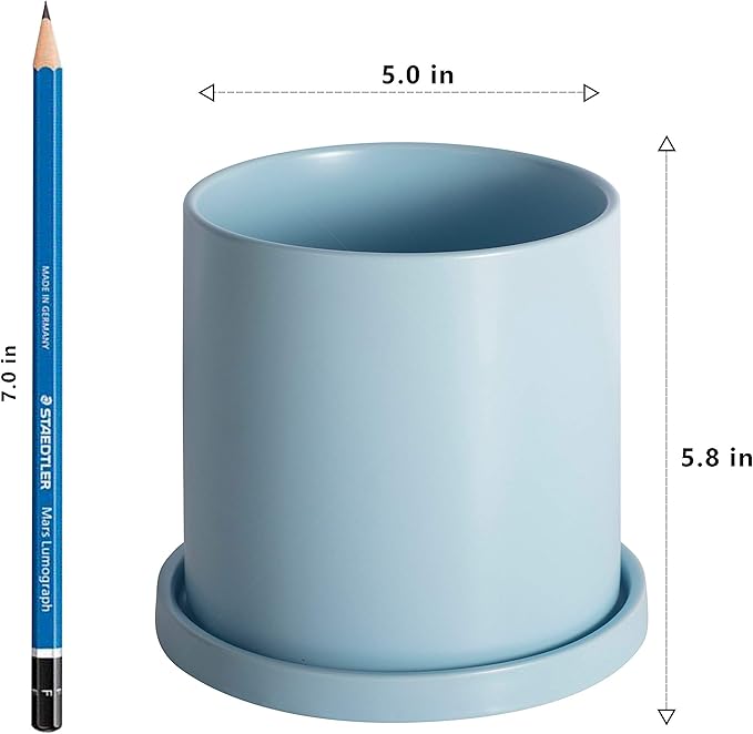 Planters for Indoor Plants Ceramic Flower Succulent Plant Pots with Drain Hole Saucer Decor for Home Office (5 inch Blue)