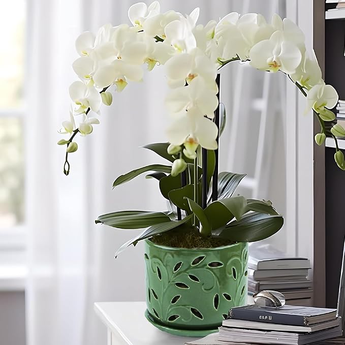Set of 2 Orchid Pots with Holes & Saucers for Orchid Root Health, 5 inch&6 inch Ceramic Pots for Plants (Patina)