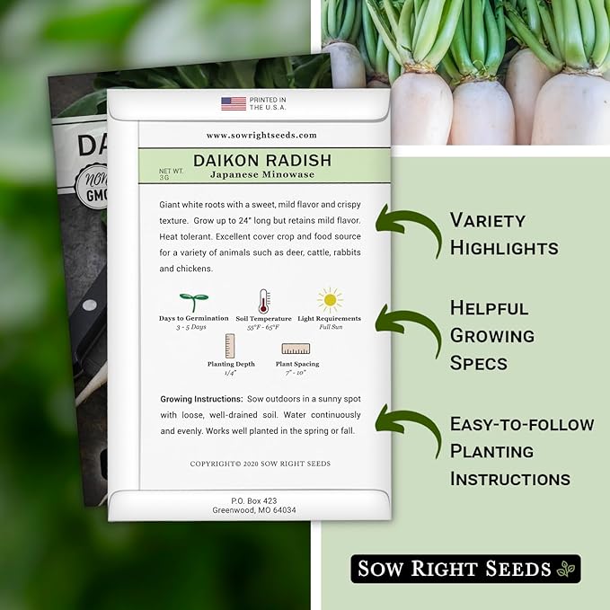 Sow Right Seeds - Japanese Minowase Daikon Radish Seeds for Planting - Non-GMO Heirloom Packet with Instructions to Plant a Home Vegetable Garden - Spring or Fall Planting Outdoors - Long White (4)