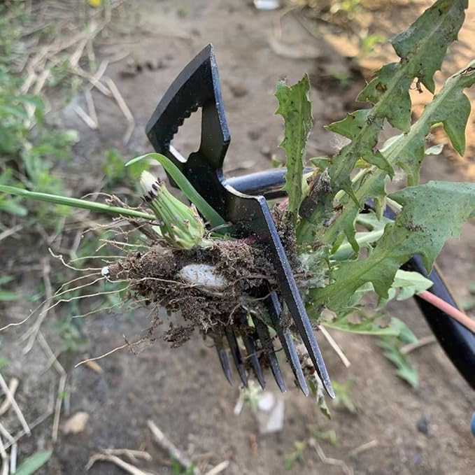 Stainless Weeding Artifact Uprooting Weeding Tool, Stainless Steel Forged Weed Puller 4 Teeth Dual Purpose Weeder, Hand Weeder Tool for Gardening with Long Handle, Silver 4Pcs