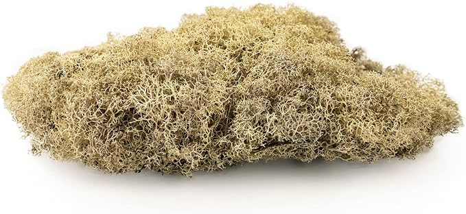Premium Coco Coir and Perlite Potting Mix, Soil for Maximum Plant Growth, Perfect for Indoor and Outdoor Container Gardens by Gardenera - 1 Quart