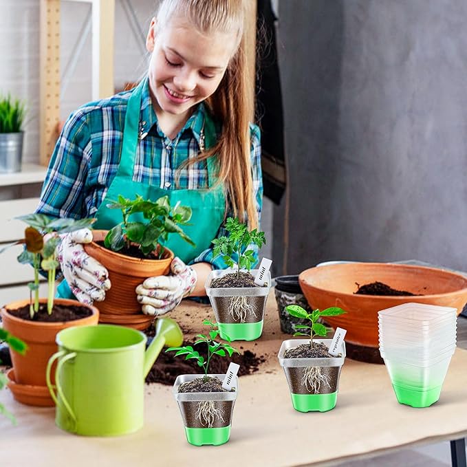 Clear Nursery Pots for Plants,10 Packs Seed Starting Pots 3.1 inch Plastic Plant Pot Seedling Pots with Drainage Holes Plant Nursery Pots with Silicone Base Seed Starting Pot (No Lids 10)