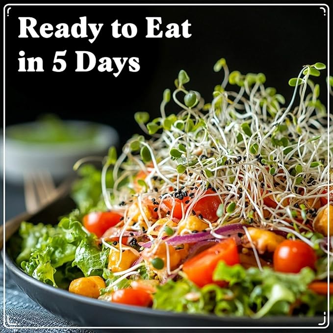 Organic Alfalfa Seeds for Sprouting - Non-GMO, USA Grown Alfalfa Microgreens Sprouting Seeds Mix - Makes 8 Quarts of Sprouts, 24 Servings (8 oz) (Alfalfa)
