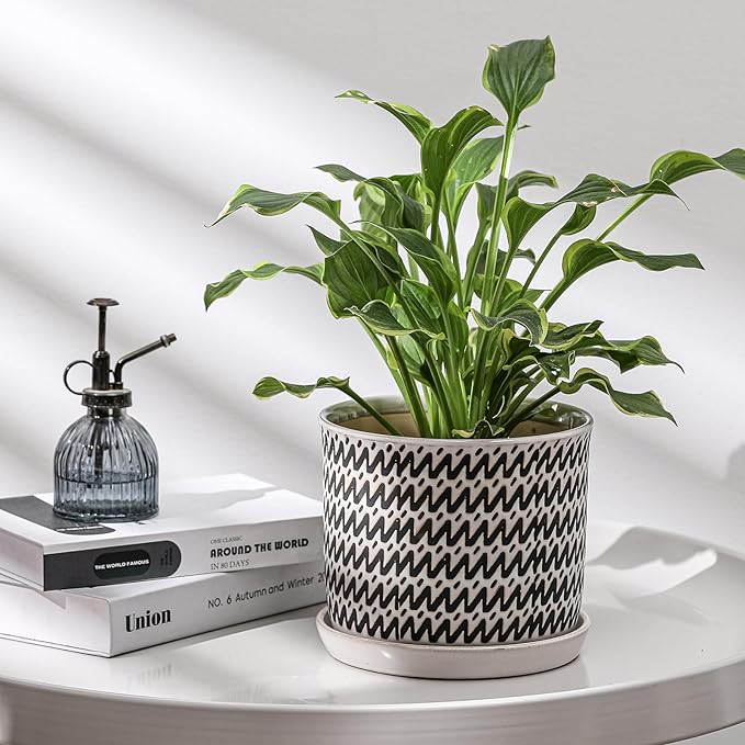 8 Inch Plant Pot: Ceramic Planter with Drainage Hole & Saucer for Indoor Outdoor Plants - Flowerpot with Bonded Tray for Home Office - Wave Stripe Debossed