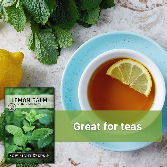 Sow Right Seeds - Lemon Balm Seeds for Planting - Non-GMO Heirloom Packet with Instructions - Easy to Grow Herb Garden - Aromatic Herb and Great for Herbal Teas - Perennial Mint Relative (2)