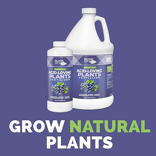 Bloom City's Acid-Loving Plant Fertilizer, Soil Acidifier for All Acid Loving Plants, Quart (32 oz)