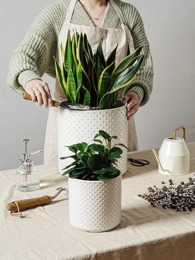 LE TAUCI 6+8+10 Inch Plant Pots Indoor, Ceramic Planter Pots for Plants, Raised Dots Flower Pots Indoor for Home and Office, Mid-Modern Century Pots with Drainage Hole and Plug, Glaze Arctic White