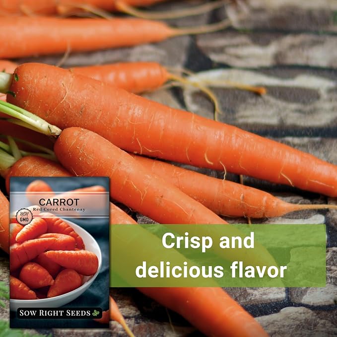 Sow Right Seeds - Red Cored Chantenay Carrot Seeds for Planting - Non-GMO Heirloom Packet with Instructions to Plant an Outdoor Home Vegetable Garden - Golden-Orange with Rare Bright Colored Core (1)