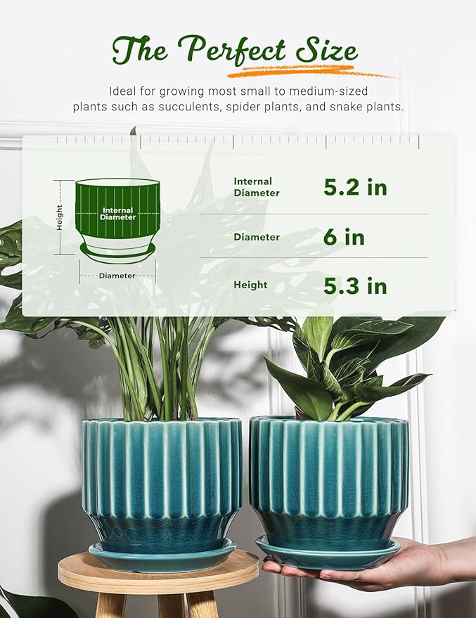 AISBUGUR Plant Pots 6 inch Ceramic Pots for Indoor Plants Set of 2 Flower Pots Unique Crackle Glaze Design Plant Pots with Drainage Hole and Saucer Come with Drainage Nets (Aqua Green)
