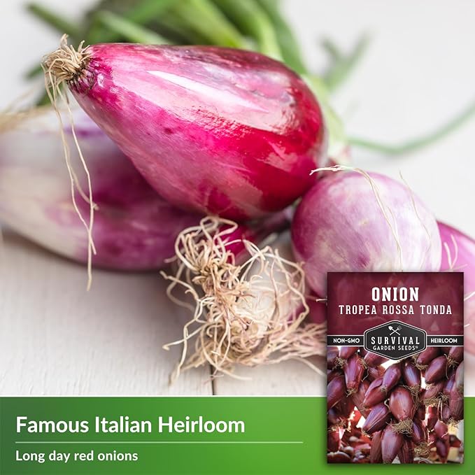 Tropea Rossa Tonda Onion Seeds for Planting - 1 Packet with Instructions to Plant and Grow Italian Long Day Onions in Your Home Vegetable Garden - Non-GMO Heirloom Variety - Survival Garden Seeds