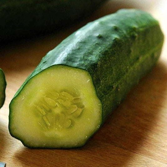 Park Seed Cucumber Patio Snacker Seeds, Porch Garden Ready, Pack of 15 Seeds
