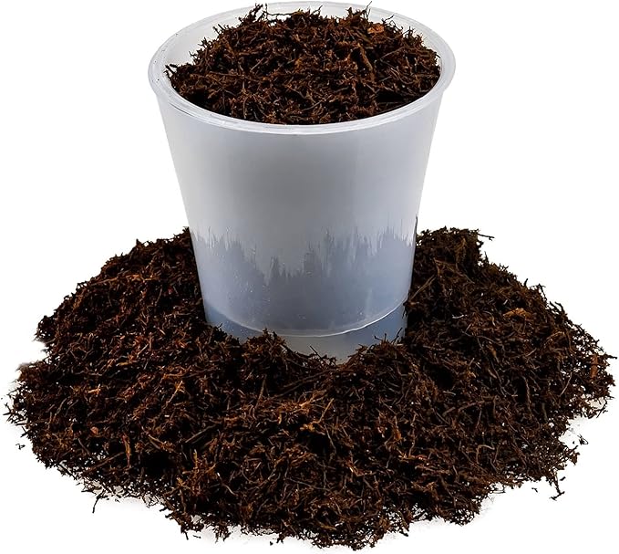 Premium New Zealand Tree Fern by GARDENERA - Orchid and Epiphytal Plants Growing Medium and Reptile Substrate - 1 Quart Bag