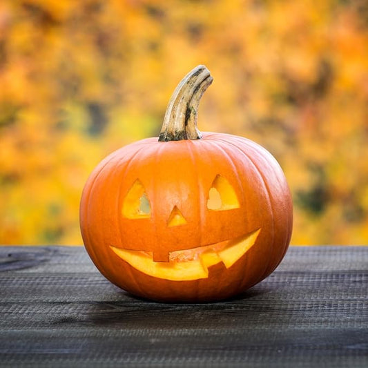 Jack O Lantern Pumpkin Seeds, Over 40 Premium Seeds - Heirloom, Non GMO - Woods Creek Seeds …
