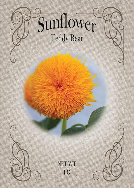 Set of Flower Seed Packets! Flower Seeds in Bulk - Great for Creating The Garden of Your Dreams! (100, Teddybear Sunflower)