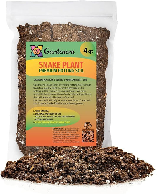 Premium Snake Plant Potting Soil Mix, Green Sansevieria Trifascatia Zeylanica Plants, Plant or Re-Pot Your Snake Plant - (4 Quart Bag)