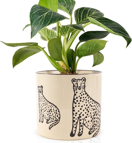 Indoor Ceramic Plant Pots with Drainage Holes 5 Inch Cute Succulent Flower Pots Small Orchid Planter Pots for Indoor Plants Garden Pots, Two Panthers