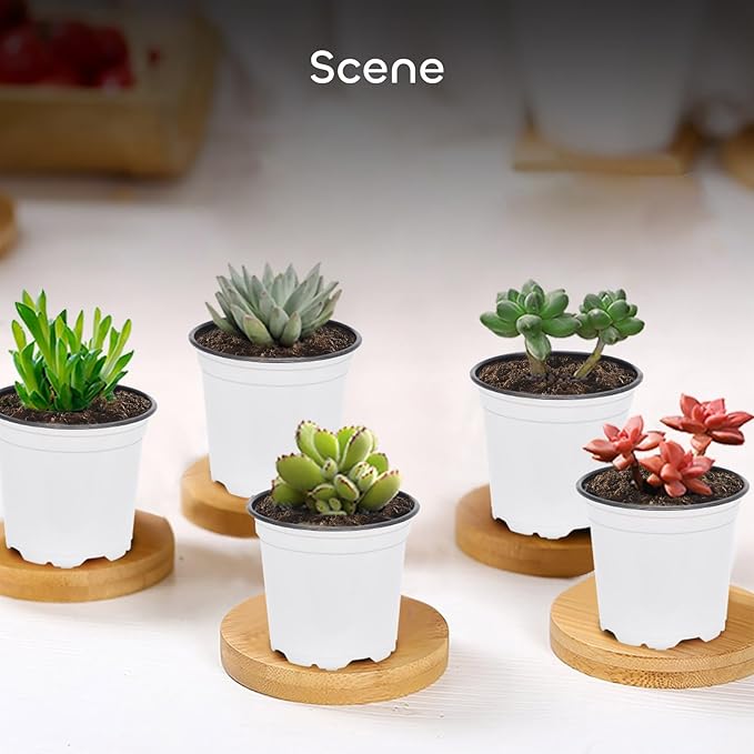 GROWNEER Nursery Pots 60 Packs 4 Inch Plastic Planting Pot with 15 Pcs Plant Labels, Seed Starting Set Flower Planter Container for Succulents, Seedlings, Cuttings, Transplanting, White