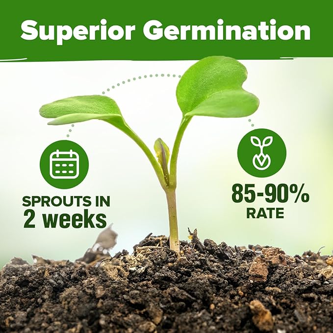 HOME GROWN 25 Herb Seeds Pack | 8700+ Heirloom Seeds | Indoor & Outdoor Planting | Culinary Herb Seeds Variety Pack | Perfect for Hydroponic Gardens | Arugula, Basil, Lavender & More