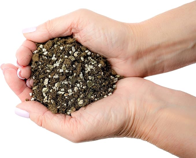 Premium African Violets and Gesneriad Premium Soil Mix by Gardenera - 20 Quart - Horticultural Perlite, Vermiculite, Sphagnum Peat Moss - Made in USA - (4 Bags of 5QT)