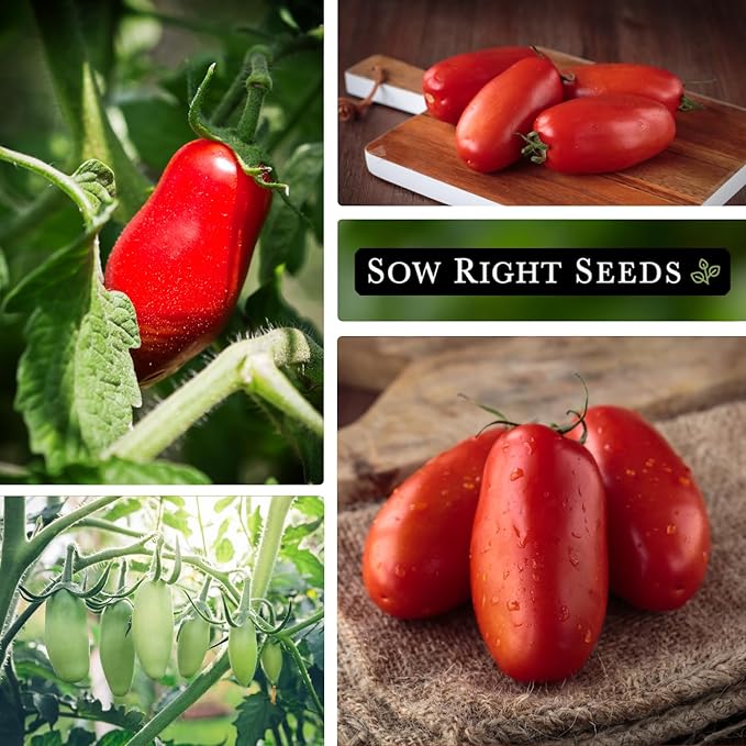 Sow Right Seeds - San Marzano Tomato Seeds for Planting - Non-GMO Heirloom Packet with Instructions to Plant a Home Vegetable Garden - Italian Classic Red Variety - Great for Sauce and Canning (1)