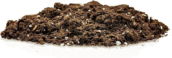 Money Tree Potting Soil, Soil Mix for Planting or Repotting Guiana Chestnut, Soil Blended to Properly Grow Money Tree Plants - (4 Quart Bag)