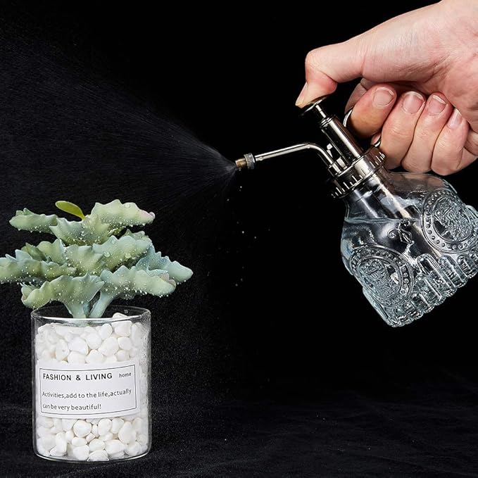 Glass Plant Mister Spray Bottle, 6.5" Tall Vintage Plant Spritzer Watering Can, Succulent Watering Bottle with Top Pump, Small Plant Sprayer Mister for Indoor Outdoor House Plant - Clear