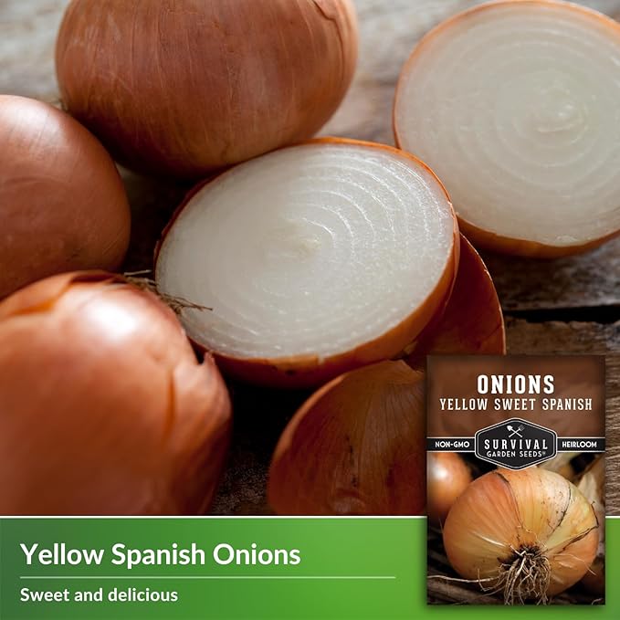 Yellow Sweet Spanish Onion Seed for Planting - 5 Packets with Instructions to Plant and Grow Long Day Onions in Your Home Vegetable Garden - Non-GMO Heirloom Variety - Survival Garden Seeds