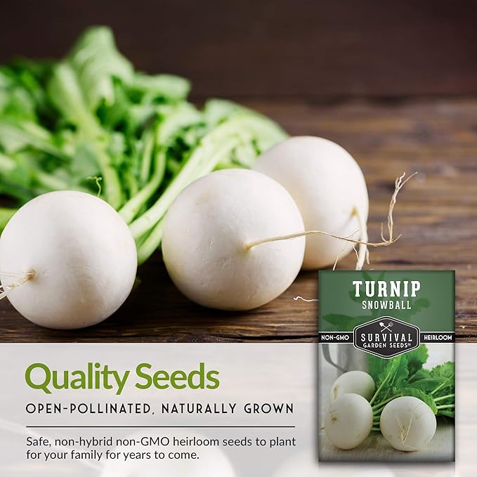 Survival Garden Seeds - Turnip Snowball Seed for Planting - 5 Packs with Instructions to Plant and Grow Root Vegetables and Greens in Your Home Vegetable Garden - Non-GMO Heirloom Variety - Fall Seeds