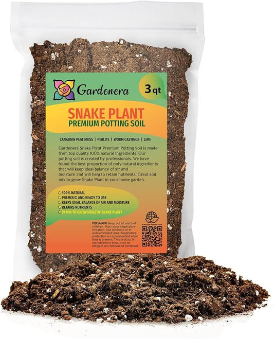 Premium Snake Plant Potting Soil Mix, Green Sansevieria Trifascatia Zeylanica Plants, Plant or Re-Pot Your Snake Plant - (3 Quart Bag)