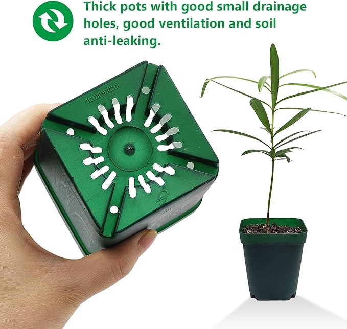Square Nursery Seedling Pot 3.5 Inches 90 Pcs, Small Nursery Pot Plastic Thick and Sturdy Seed Start Germination Pot for Plant Propagation and Seeding(Green,3.54 Inches, 90Pcs)
