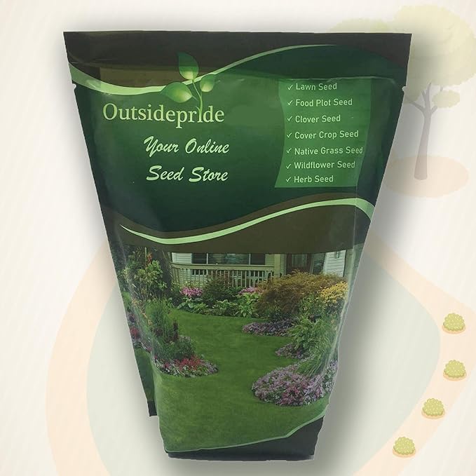Outsidepride 1 lb. Perennial Mirabilis Jalapa Four O' Clock White Flower Seeds for Planting