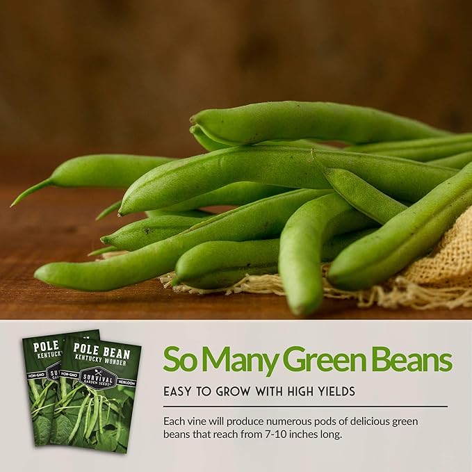 Survival Garden Seeds - Kentucky Wonder Pole Bean Seed for Planting - 3 Packs with Instructions to Plant and Grow Green Snap Beans in Your Home Vegetable Garden - Non-GMO Heirloom Variety