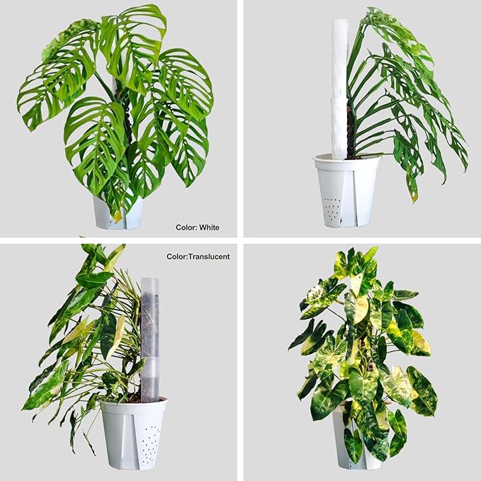 4 Pcs 17 Inch Plastic Moss Pole for Plants Monstera, Stackable Plant Support for Indoor Climbing Plants, Clear Plant Poles with 2pcs Garden Ties Work with Sphagnum Moss