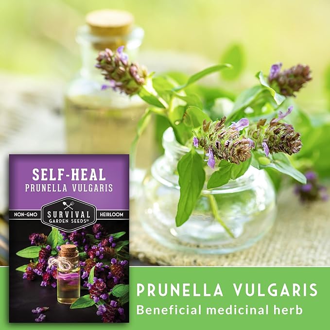 Survival Garden Seeds Selfheal Seed for Planting - 3 Packs with Instructions to Plant & Grow All-Heal Perennial Herb Plants in Your Home Flower & Herb Garden - Non-GMO Heirloom Variety