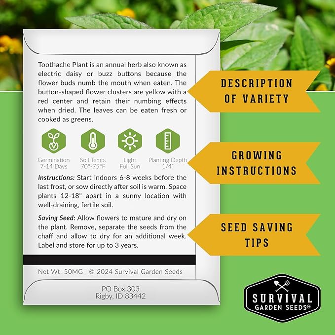 Toothache Plant Seeds for Planting - 2 Packets with Instructions to Plant and Grow Electric Daisy in Your Home Herb Garden - Non-GMO Heirloom Variety - Survival Garden Seeds