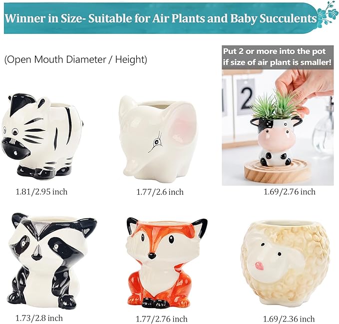 Melphoe 6Pcs Air Plant Holders Cartoon Shaped Small Succulent Pot Animal Planter Small Ceramic Pot Drainage for Mini Plant Cactus Flower, Tillandsia Air Fern, Display Stand Home, Office Desktop