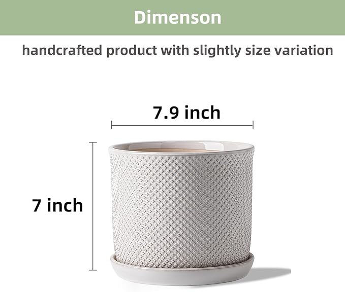 8 Inch Plant Pot: Ceramic Planter with Drainage Hole & Saucer Indoor Outdoor Plants - Flowerpot with Bonded Tray for Home Office - Beaded Embossed Style, Cream White