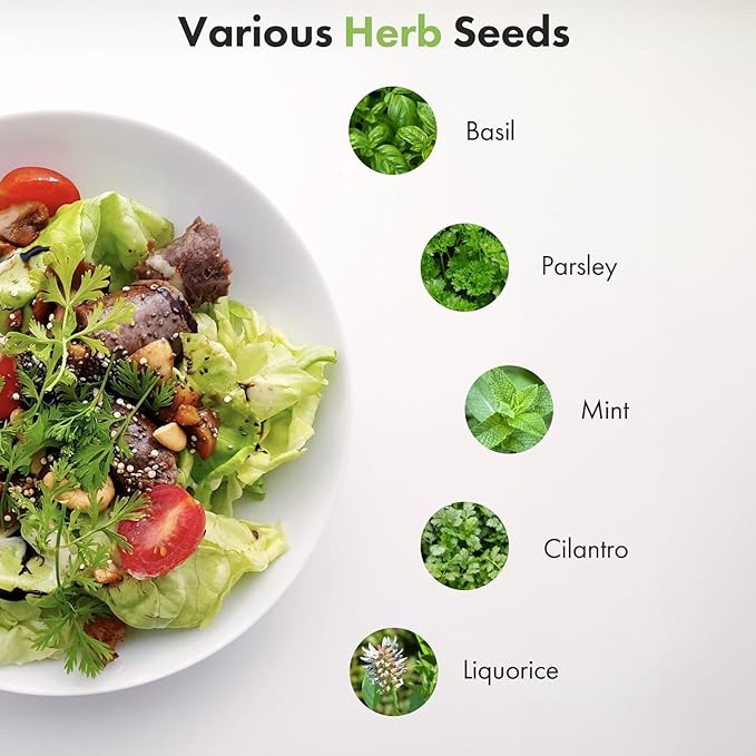 LYKOCLEAN Herb Seeds Pod Kit for AeroGarden, idoo, Ahopegarden, MUFGA Hydroponics Garden, 350+ Seeds, Include Cilantro, Basil, Parsley, Mint, Liquorice(7-Pods)