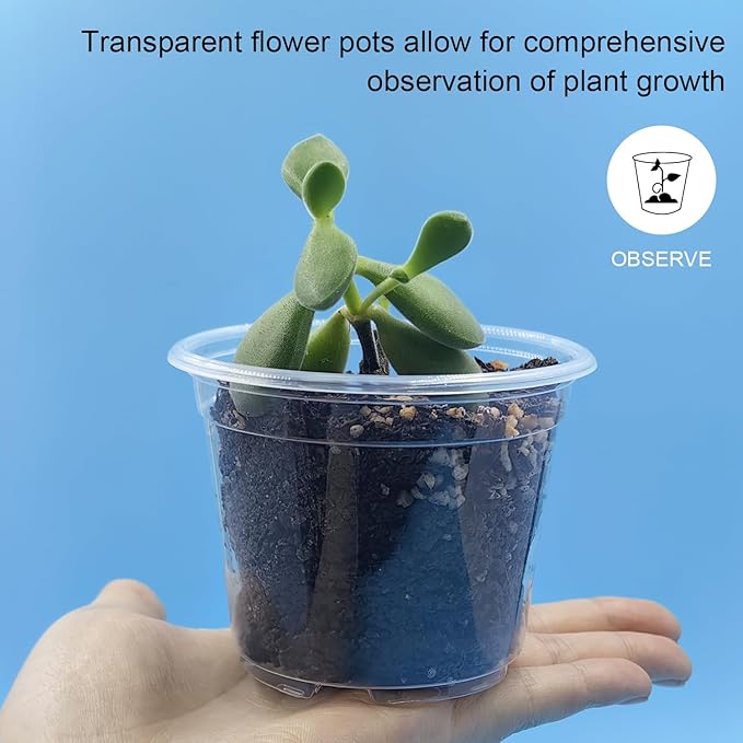 Clear Seedling pots 100-Pack 3.2 Inches Round for Seeds Starter Pots, Seeds Germination Transparent Clean Pots with Drainage Holes(100 Pcs, 3.14Inch)