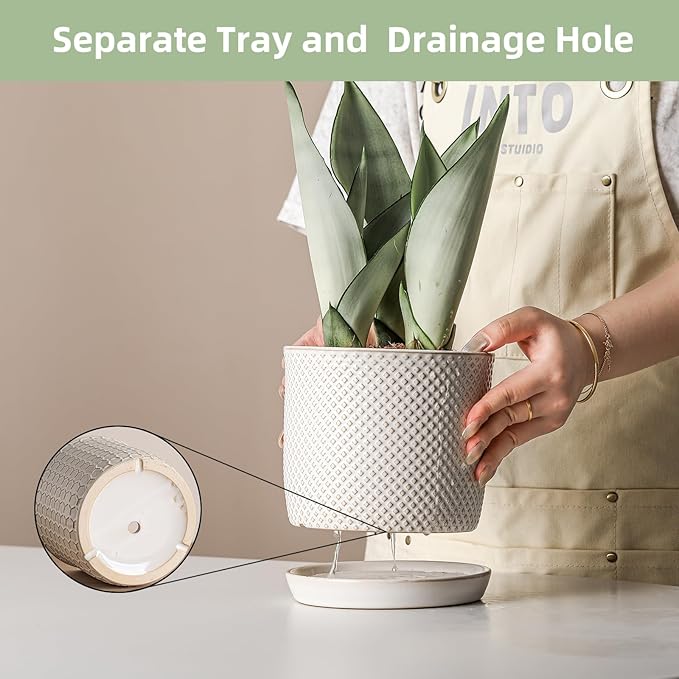 6 Inch Plant Pots: Ceramic Planter with Drainage Hole & Saucer - Flowerpot for Indoor & Outdoor Plants - Beaded Embossed Design White - with Separate Tray