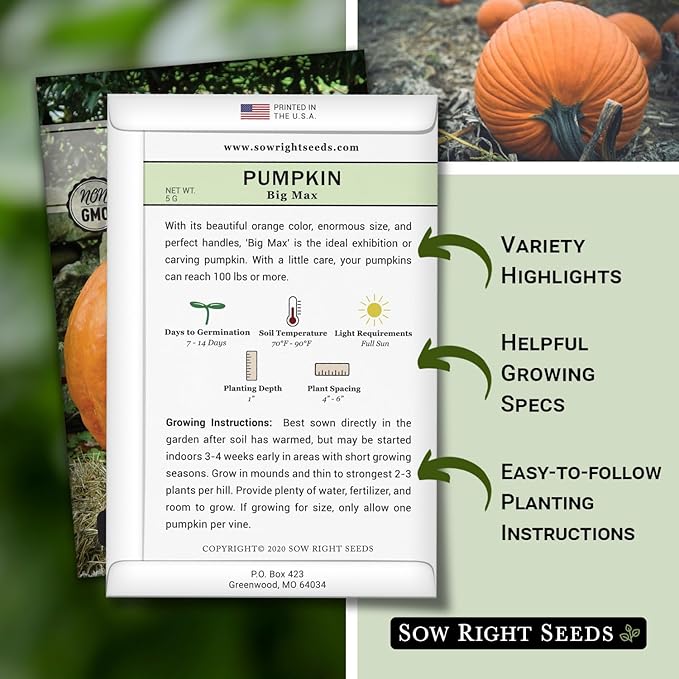 Sow Right Seeds - Big Max Pumpkin Seeds for Planting - Non-GMO Heirloom Packet with Instructions to Plant a Home Vegetable Garden - Decorative Autumn Variety for Carving - Giant Fast Growing (2)