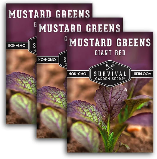 Survival Garden Seeds - Giant Red Mustard Greens Seed for Planting - 3 Packs with Instructions to Plant and Grow Spicy Brassica Juncea Leaves in Your Home Vegetable Garden - Non-GMO Heirloom Variety
