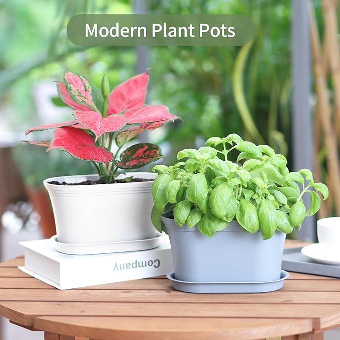 Windowsill Herb Garden Planter with Tray, Set of 6 Grey Oval Farmhouse Garden Pots for Indoor/Outdoor Plants (No Seeds)